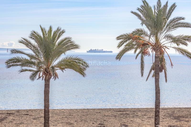 Foto 32ea424b-ee89-4c03-9a30-610b8b55eb22. Appartamento con riscaldamento in Magaluf Calvià