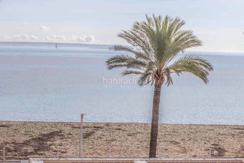 Foto 9ce3c6ba-7f21-4175-8adb-3d6afe1c92a7. Appartamento con riscaldamento in Magaluf Calvià