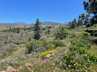 Residential Plot in La Quinta - Taucho