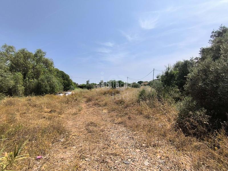 Foto 4a672670-b7f6-432c-8ca1-0823fc2e7bf3. Terreny residencial a Ponent Reus
