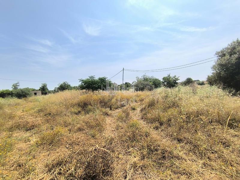 Foto 6dac9d1f-8c11-44f8-85f8-679f05d8fed8. Terreny residencial a Ponent Reus