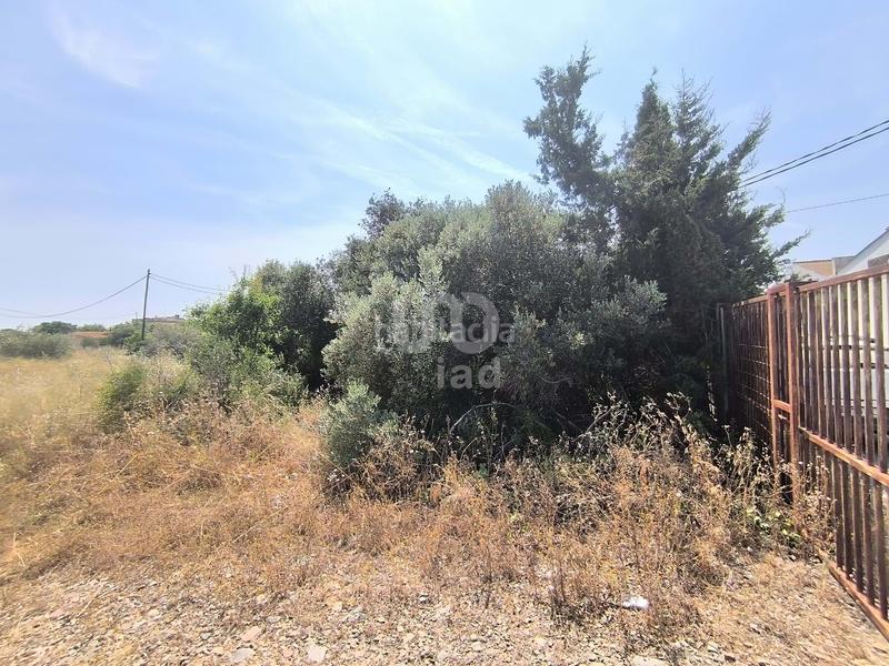Foto a0d6114e-c93d-4c01-be9d-ec5ad2634bc8. Terreny residencial a Ponent Reus