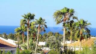 Terreno residencial en Cap Martí - El Tossalet - Pinomar