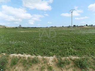 Residential Plot in La Marina