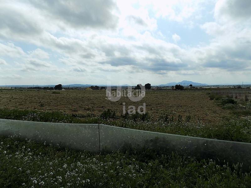 Foto 1eeb7dc6-f666-4fa8-b5d1-5d138f139c61. Terreny residencial a La Marina Elche / Elx