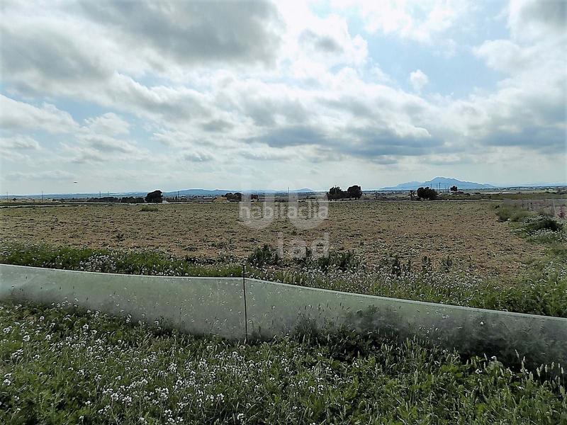 Foto 213d0fe5-723c-40ce-8beb-b2f7c2673cd7. Terreny residencial a La Marina Elche / Elx