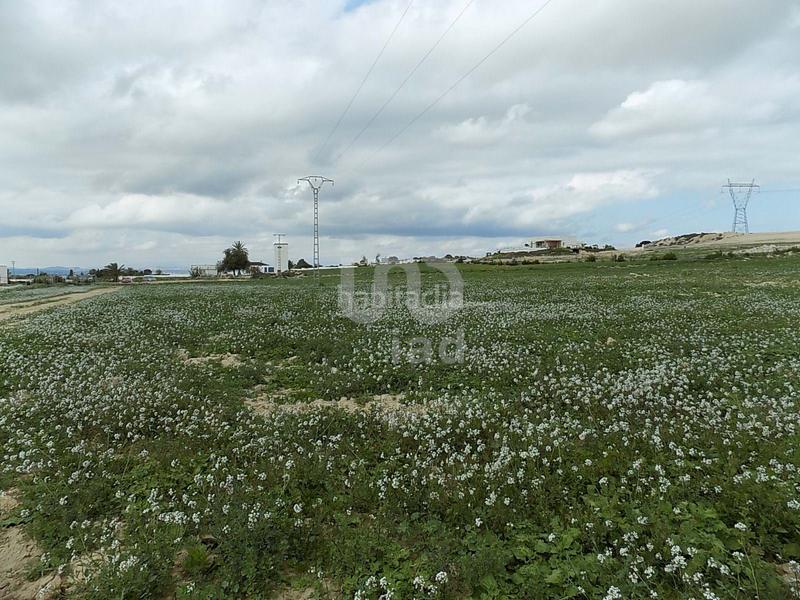 Foto 6f332730-9b82-4f5b-84c5-53ff3e4605fd. Terreny residencial a La Marina Elche / Elx