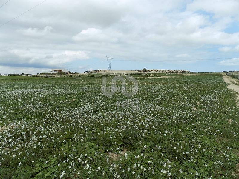 Foto 7c5d1311-624e-46e8-bdd0-cb04eeffc3c6. Terreny residencial a La Marina Elche / Elx