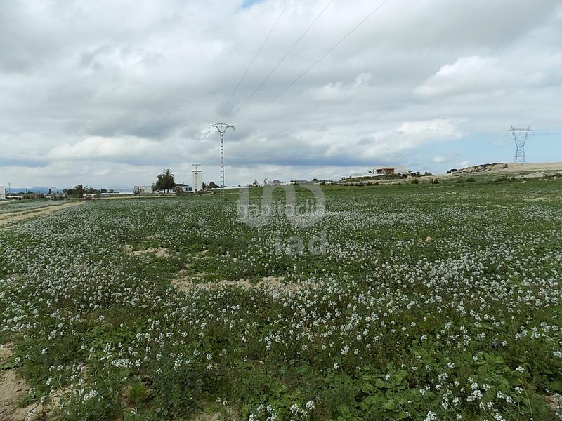 Foto ad85034b-9078-49f0-b4c8-7548447840a3. Terreny residencial a La Marina Elche / Elx