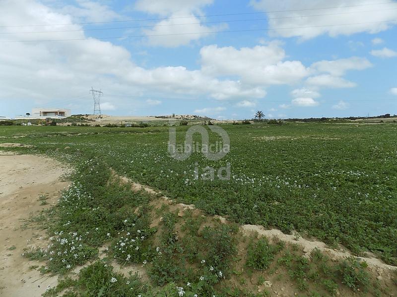 Foto ae4f8b93-b201-4ff9-b196-b41f701c9620. Terreny residencial a La Marina Elche / Elx
