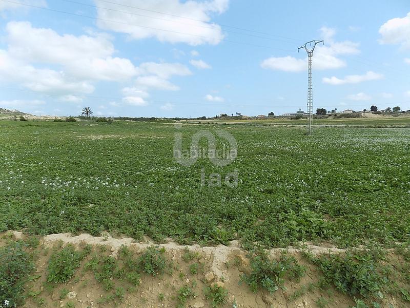 Foto cbf90218-df5d-46ed-a68d-7266024eff73. Terreny residencial a La Marina Elche / Elx