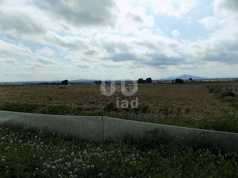 Foto ccbe6c56-dfa0-4086-8ab9-fcad2c89a3b7. Terreny residencial a La Marina Elche / Elx
