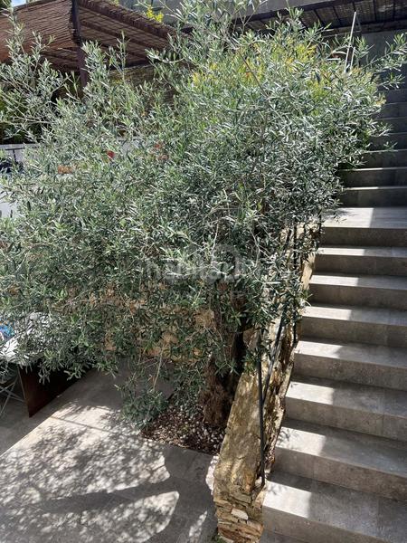 Foto e3bc2dc8-527e-49e4-a7c2-22e3e9d0f587. Maison avec chauffage dans Begur Begur