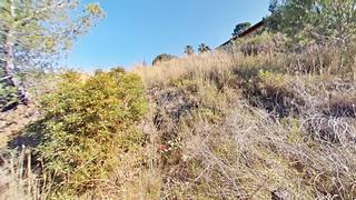 Residential Plot in Almoster