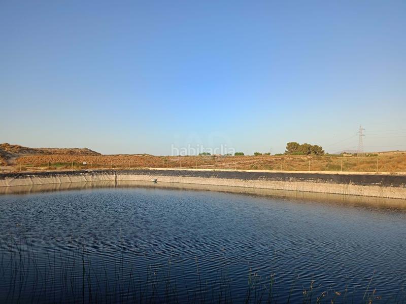 Foto 24cd1016-9e02-4654-bd64-2540856fe39b. Wohngrundstück in Totana