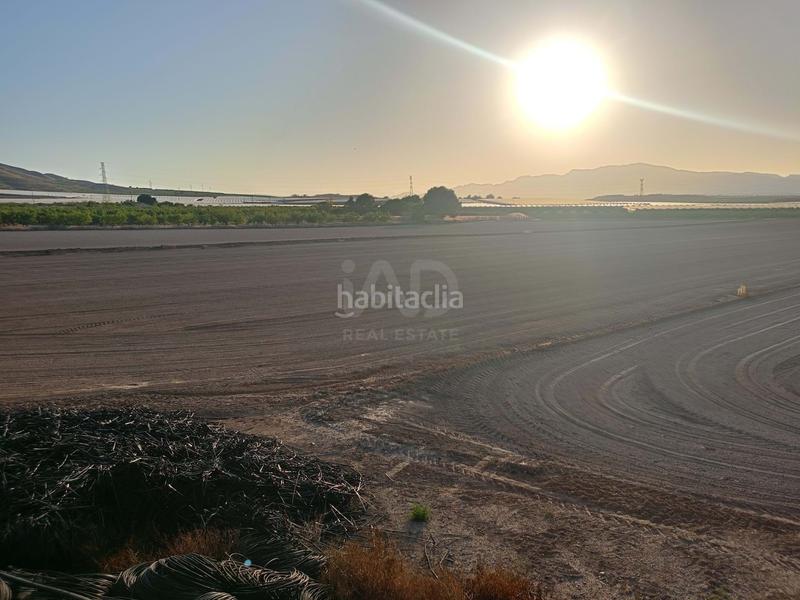 Foto 38b77163-321b-4fb9-8881-34f97f7d9360. Wohngrundstück in Totana