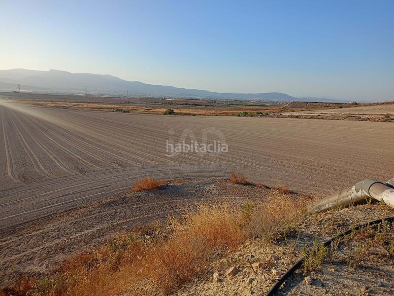 Foto 731e9466-7a75-40e2-bb96-850c161f7310. Wohngrundstück in Totana