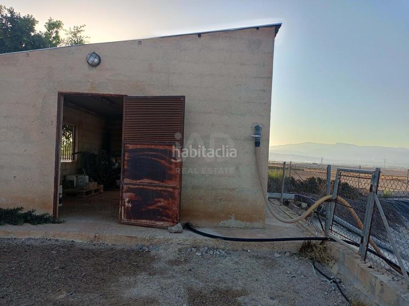 Foto 90a7e922-337f-4ac0-a896-9da87b526a4c. Wohngrundstück in Totana