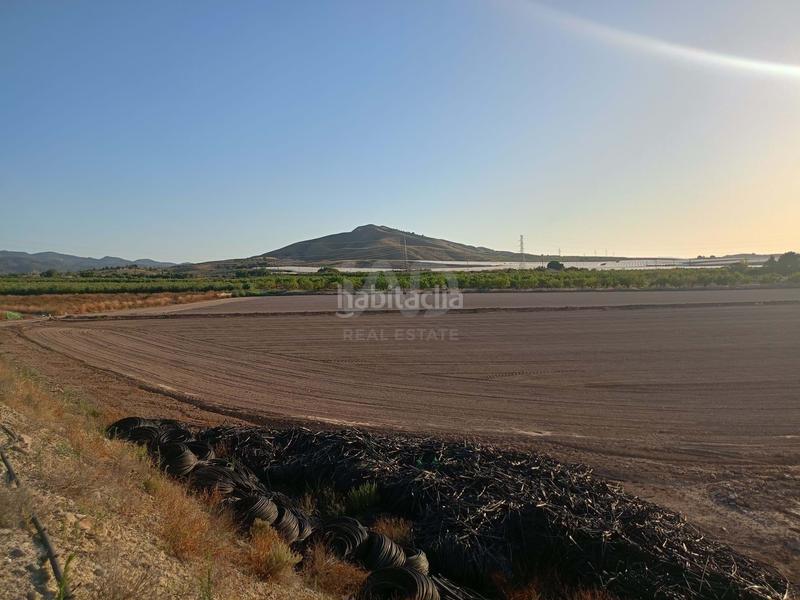 Foto c4224843-22bb-4ea6-94e5-20f5fd01d8ec. Wohngrundstück in Totana