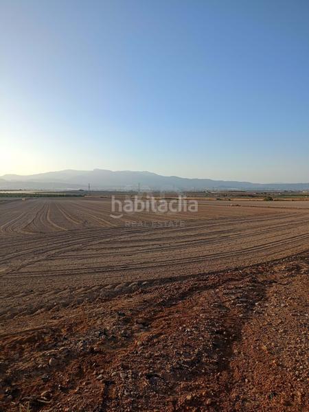 Foto ce06a10c-e230-4b14-b031-a894541b80e5. Wohngrundstück in Totana