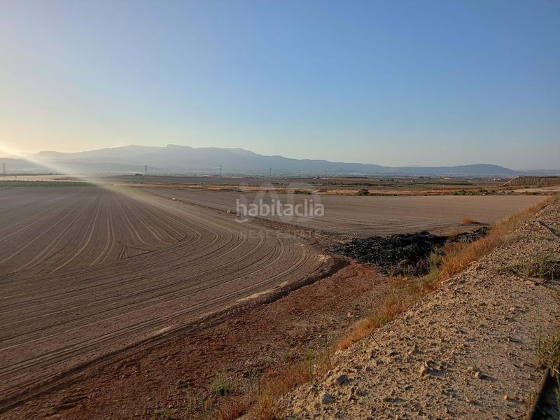 Foto db97e864-dd88-417b-af53-e919bc1337a1. Wohngrundstück in Totana