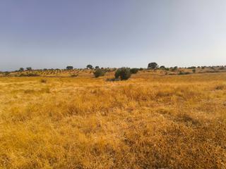 Residential Plot in Villablanca