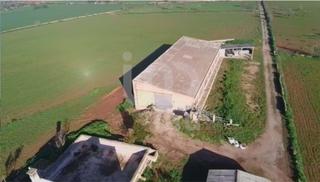 Location Local commercial à Campos