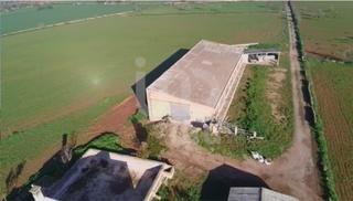 Location Local commercial à Campos