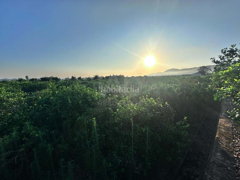 Foto 5d2f2efc-ed23-4d7a-beca-1d1e3384cce4. Terreno residenziale in Pego