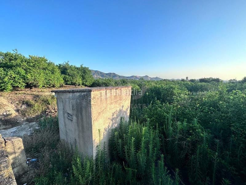 Foto 8a23cc85-29e1-4c02-917c-c30e40df6c4a. Terreno residenziale in Pego