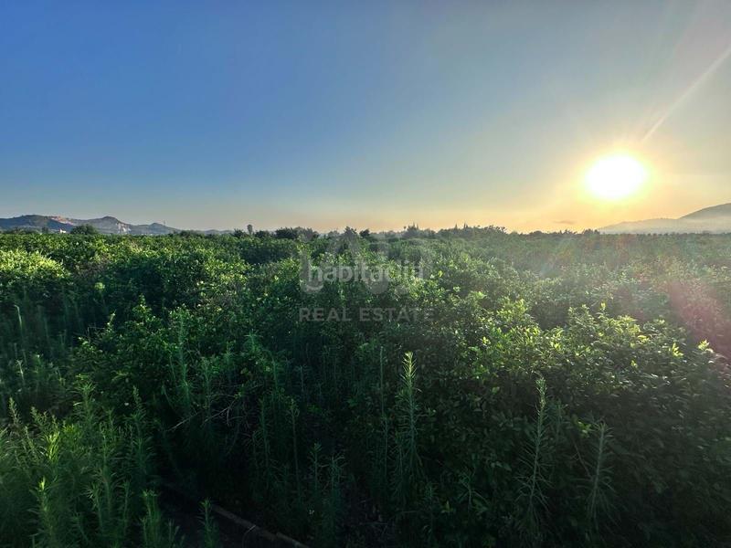 Foto a617f3c0-99a4-40d8-a063-16278e1084dc. Terreno residenziale in Pego