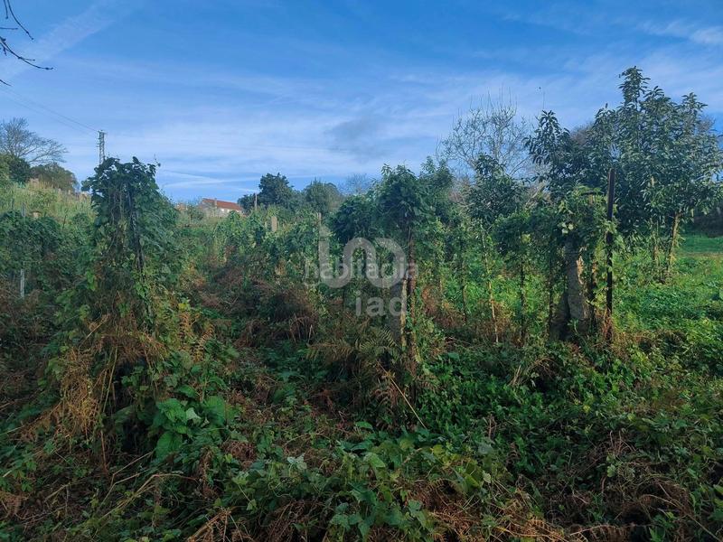Foto 4fdec193-2717-40ae-a143-96cfe574b67f. Terreno residencial en Bembrive Vigo