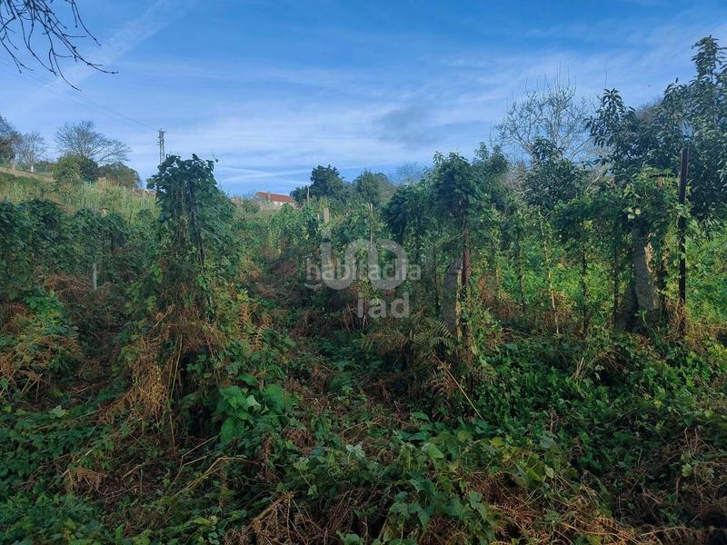 Foto dd95c8d8-e01d-4f43-b635-9905673ce0e0. Terreno residencial en Bembrive Vigo