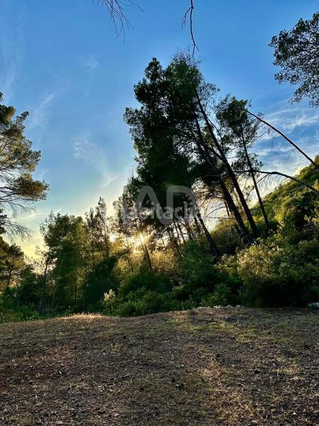 Foto cccbf93c-3d60-4ed6-bdfc-f23d873d2217. Terreno residencial en Andratx Andratx