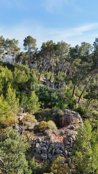 Foto ed0fb1b7-05cf-4035-a836-51711c42fd6b. Terrain résidentiel dans Andratx Andratx