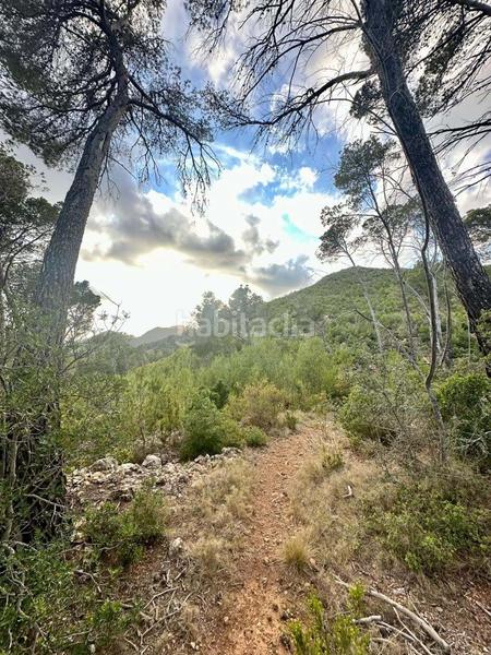 Foto 31da2b25-9d5a-43a9-8f0e-27f0f9df8e37. Terreno residenziale in Andratx Andratx