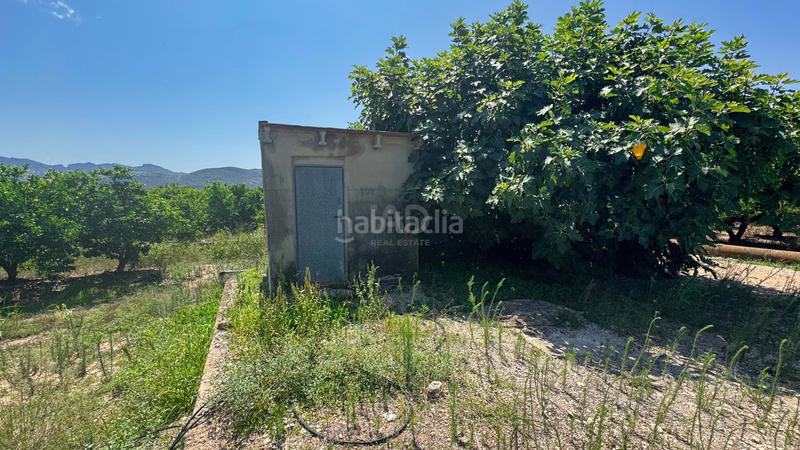 Foto 06e747a0-49fe-444a-8cd8-06844ef4d027. Terreno residenziale in Pego