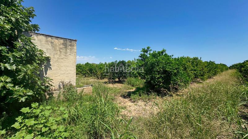 Foto 1f123135-2090-44d6-a045-e5f02aaaa93a. Terreno residenziale in Pego