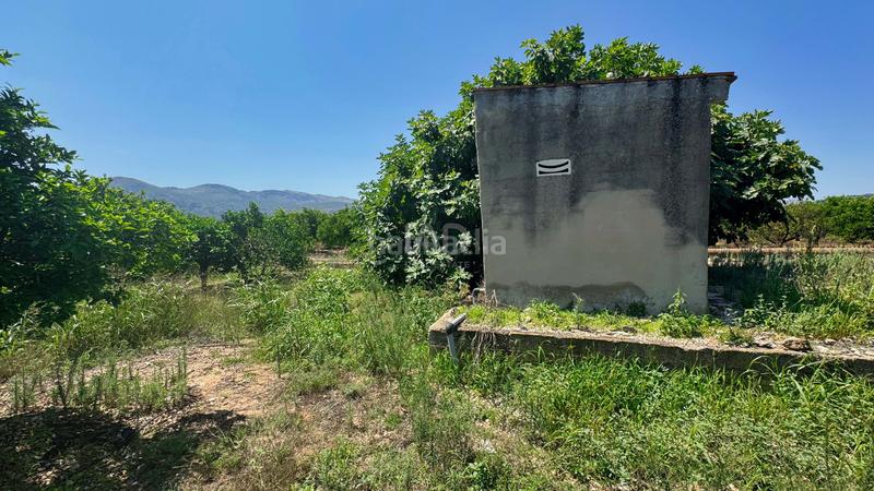 Foto 431e1cc5-2023-422e-8c55-c4c3756c6ef9. Terreno residenziale in Pego