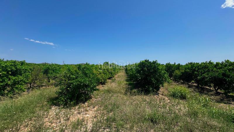 Foto 517887ef-8940-434f-9af3-9f487cfe65c4. Terreno residenziale in Pego