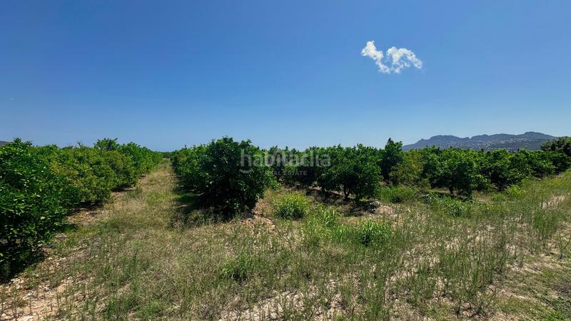 Foto 68b869b6-fc00-4334-b524-2ffb208dd4b9. Terreno residenziale in Pego