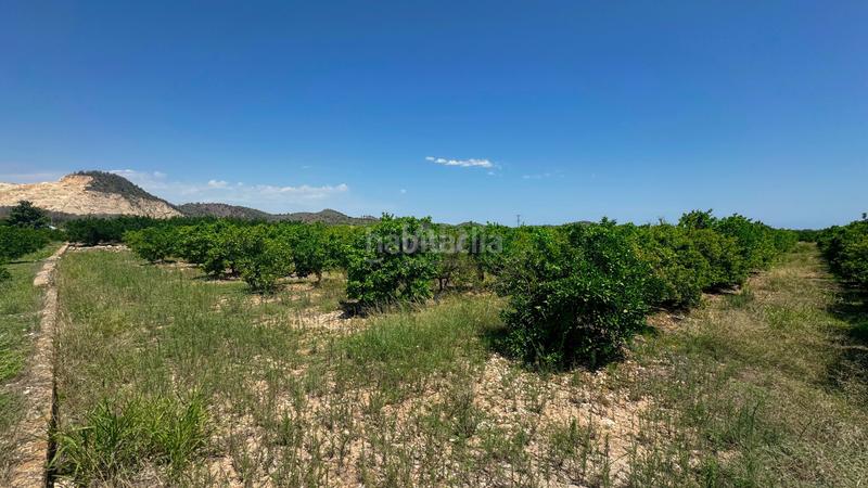 Foto c54d8faf-b7e1-450d-9895-b8ed00dce4d3. Terreno residenziale in Pego