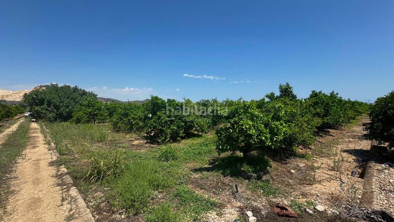 Foto cc4abd4f-81c9-4a7b-86a5-5bdd2de1088e. Terreno residenziale in Pego