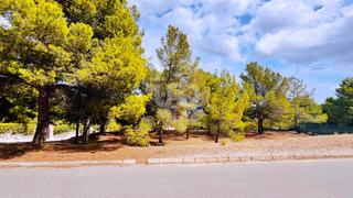 Residential Plot in Tibi