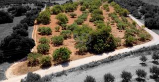 Residential Plot in Camino parcela 51 poligono12 poligono12