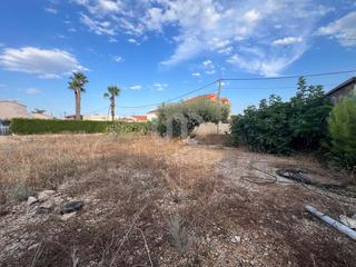 Terreny residencial a Alcanar