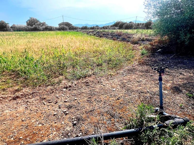 Foto 3d98fb2b-0469-42b3-a4db-c6d8166d9ae8. Residential plot in Valls