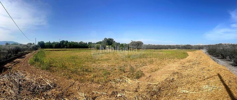 Foto 40c82ab4-4de4-4279-8d46-6389365ca043. Residential plot in Valls