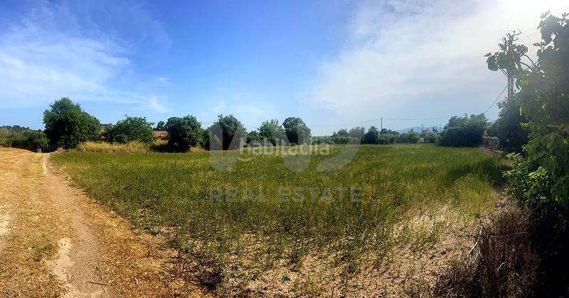 Foto 74206f0e-95d2-4358-b2cc-95a789eed87a. Residential plot in Valls