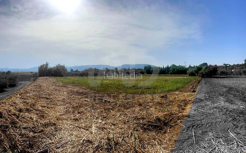 Foto 78441be1-81d5-4306-8701-d97d213b0eab. Residential plot in Valls